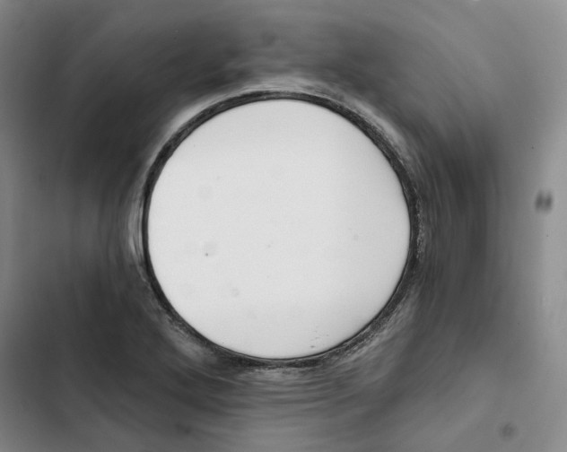 X0000102821272200809151007