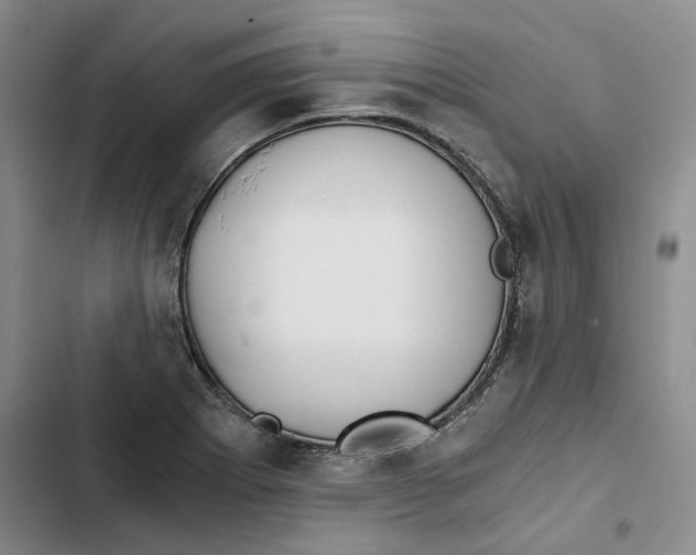 X0000102821273200809151007