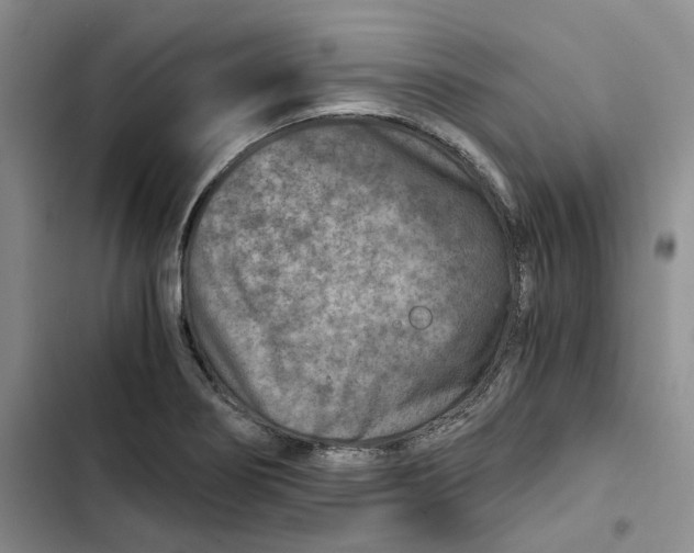X0000102821274200809151007