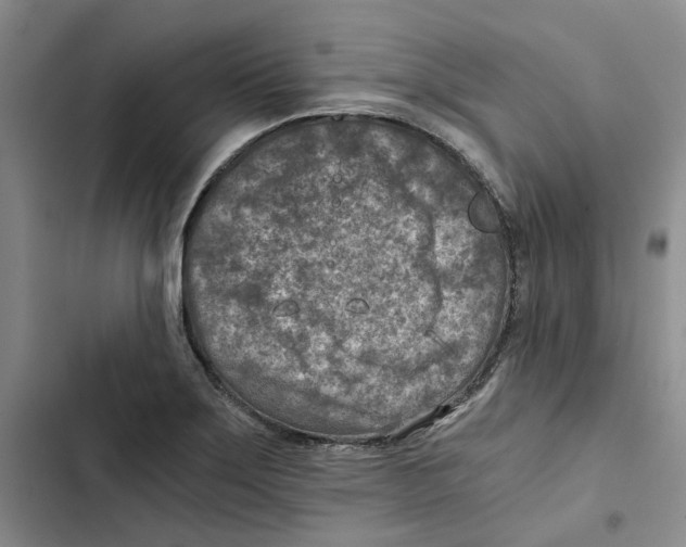 X0000102821275200809151007