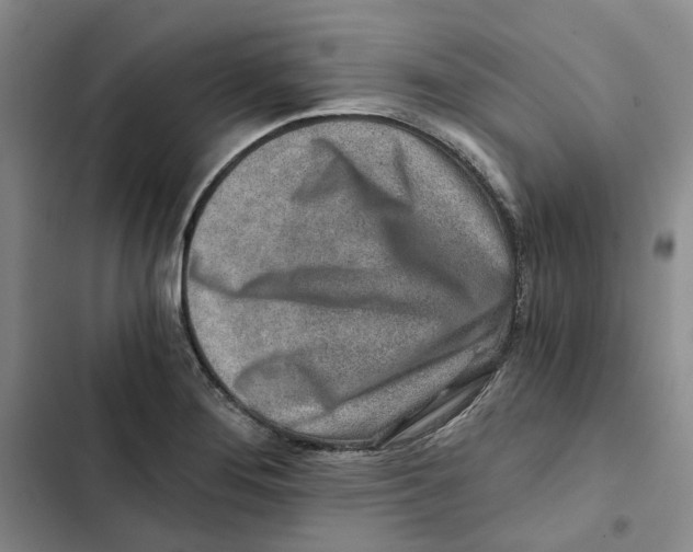 X0000102821276200809151007