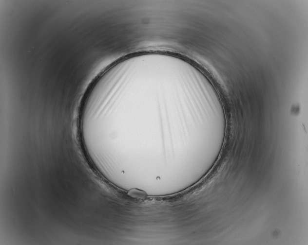 X0000102821277200809151007