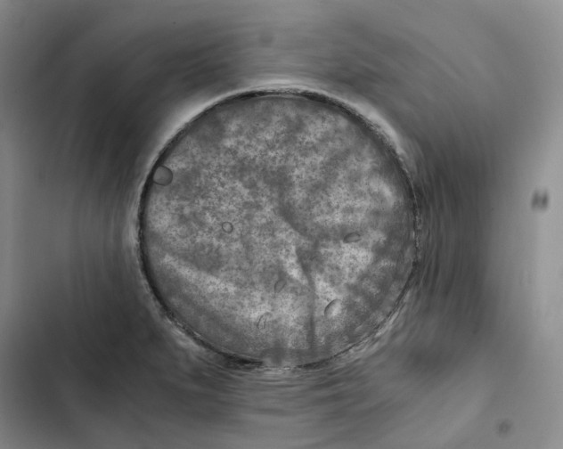 X0000102821279200809151007