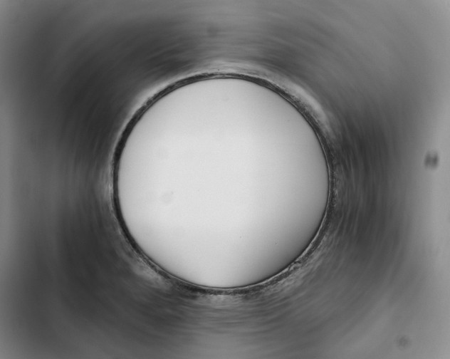 X0000102821280200809151007