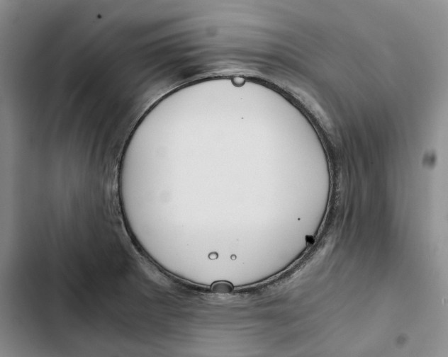 X0000102821281200809151007