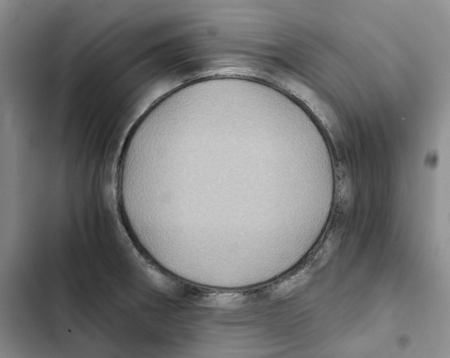 X0000102821282200809151007