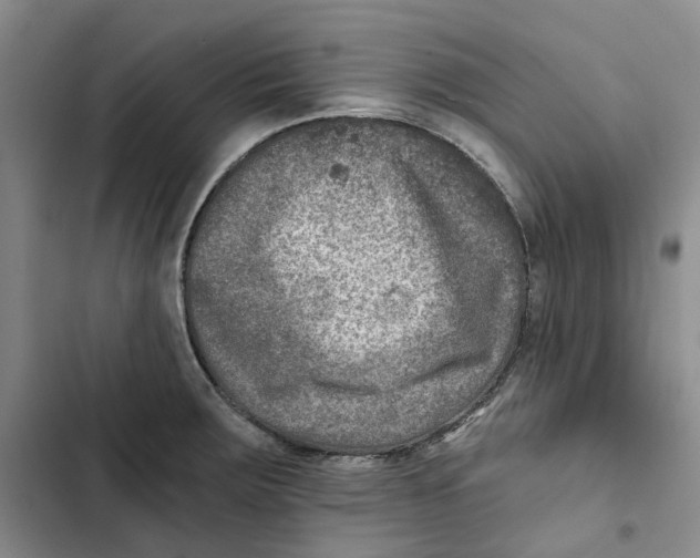 X0000102821283200809151007