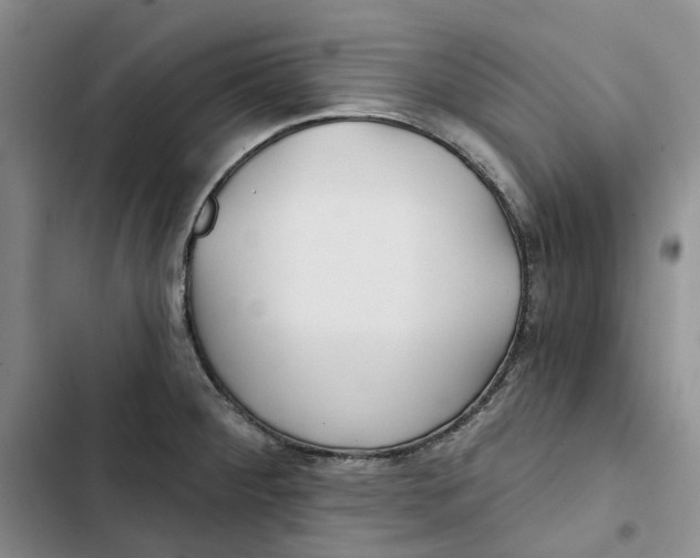 X0000102821284200809151007