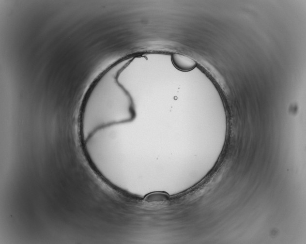 X0000102821285200809151007