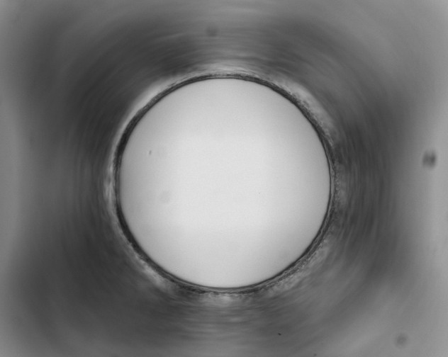 X0000102821286200809151007