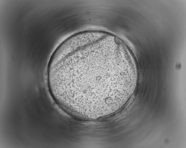 X0000102821287200809151007