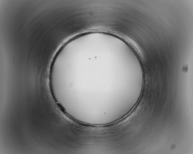 X0000102821288200809151007