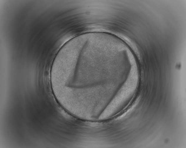 X0000102821289200809151007