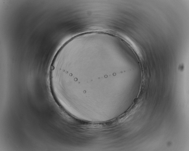 X0000102821291200809151007