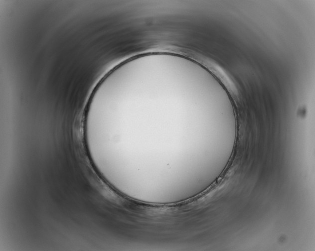 X0000102821292200809151007