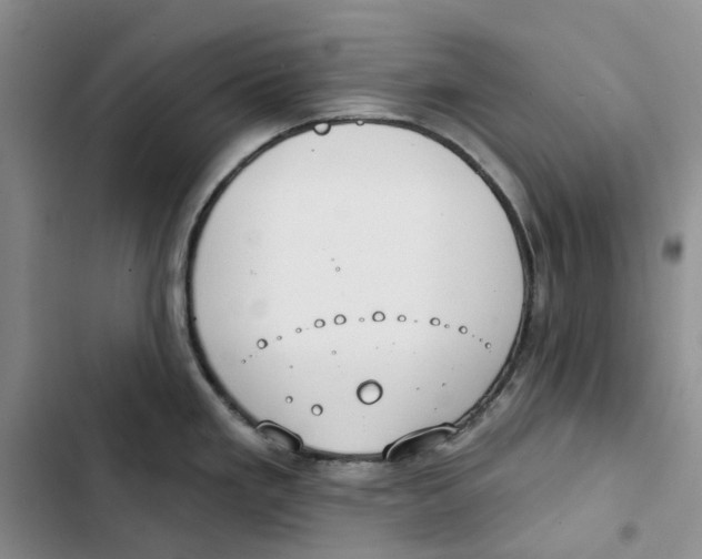 X0000102821293200809151007