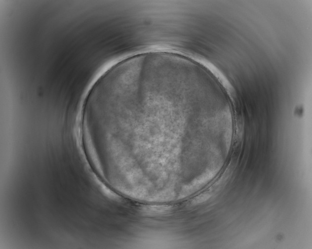 X0000102821294200809151007
