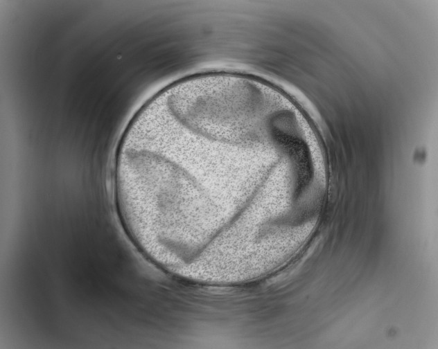 X0000102821295200809151007