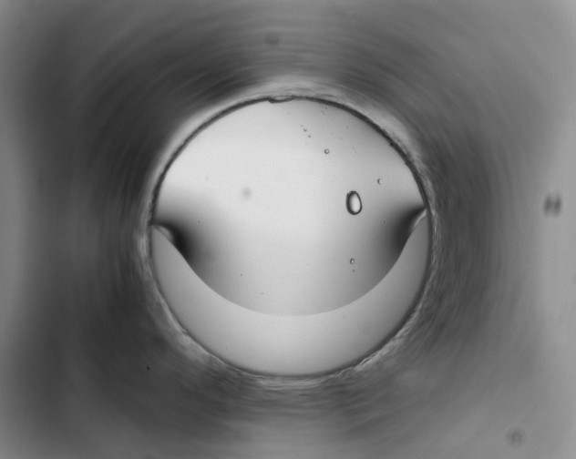 X0000102821296200809151006