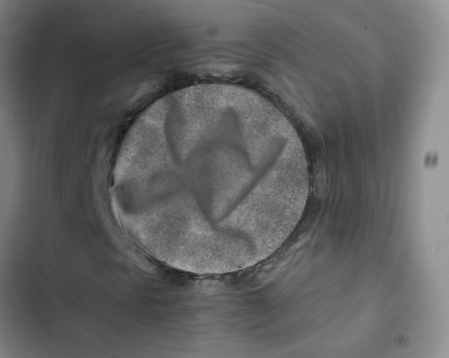X0000102821297200809151006
