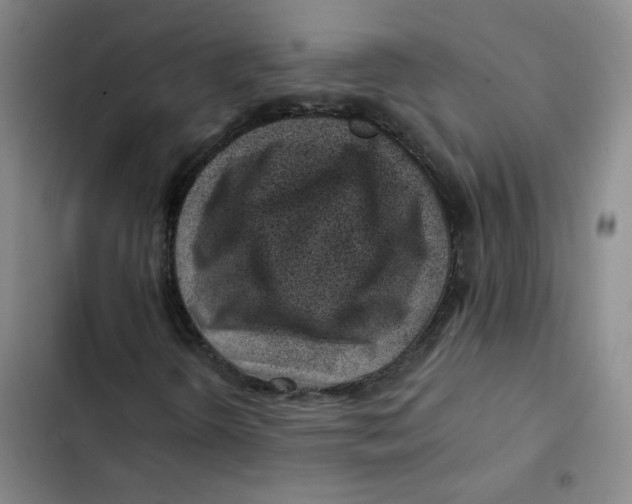 X0000102821298200809151006