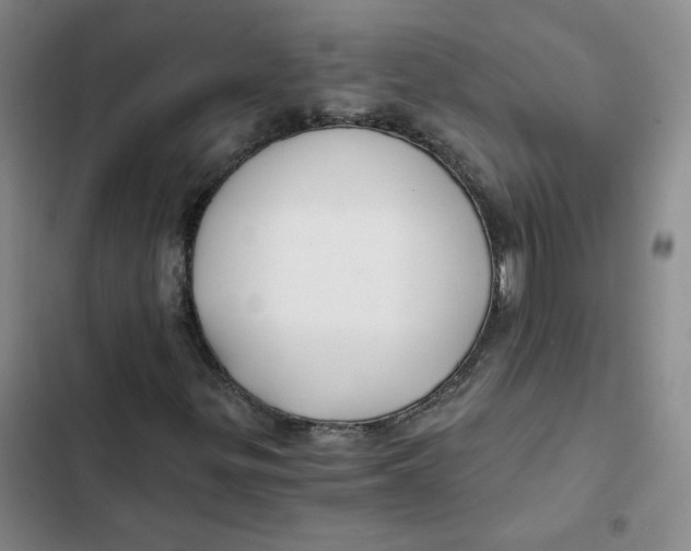 X0000102821299200809151006