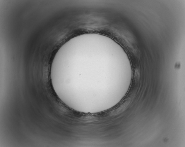 X0000102821300200809151006