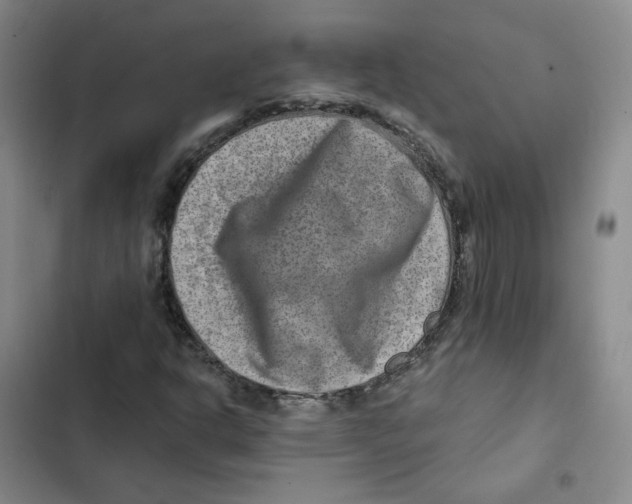 X0000102821302200809151006