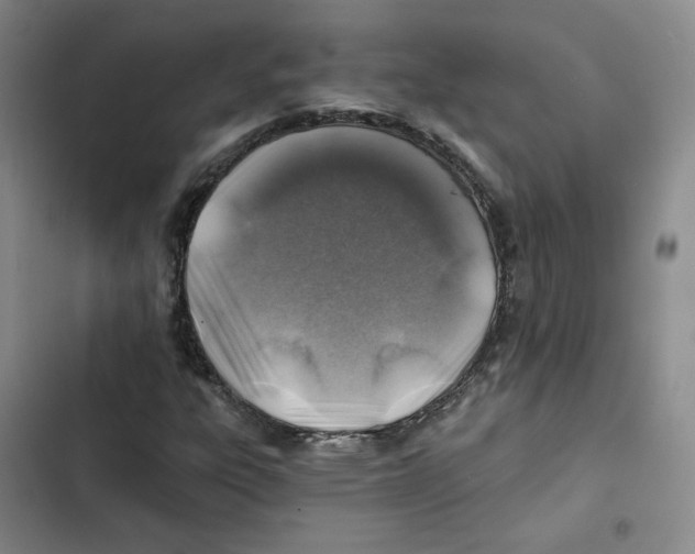 X0000102821303200809151006
