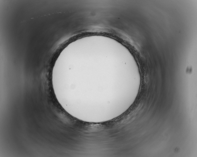 X0000102821304200809151006