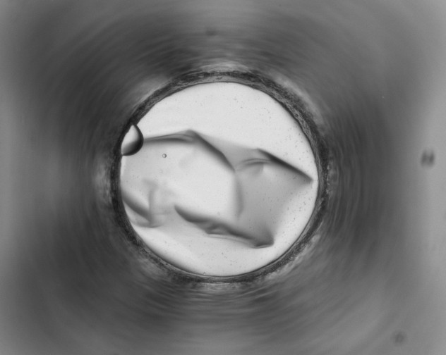 X0000102821305200809151006