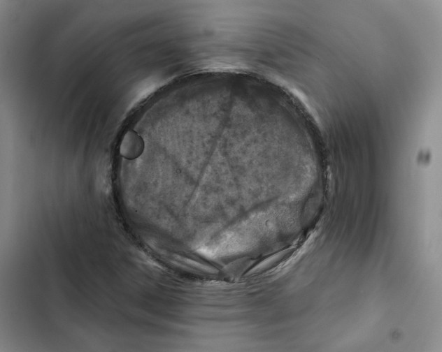 X0000102821306200809151006