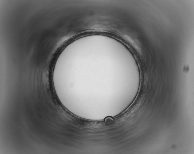 X0000102821307200809151006