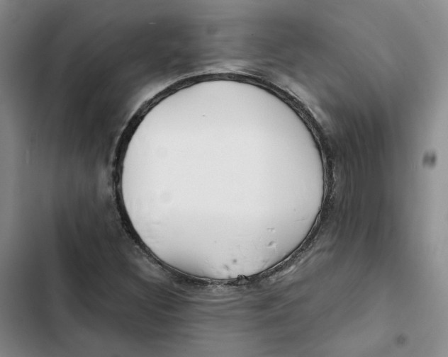 X0000102821308200809151006