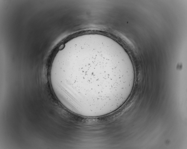 X0000102821310200809151006