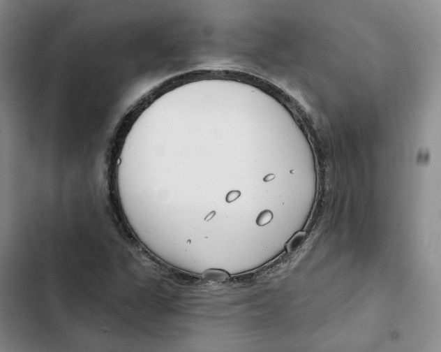 X0000102821311200809151006