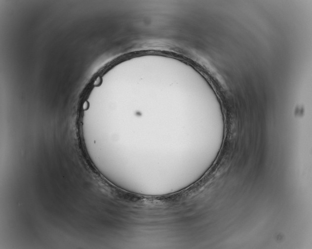 X0000102821312200809151006