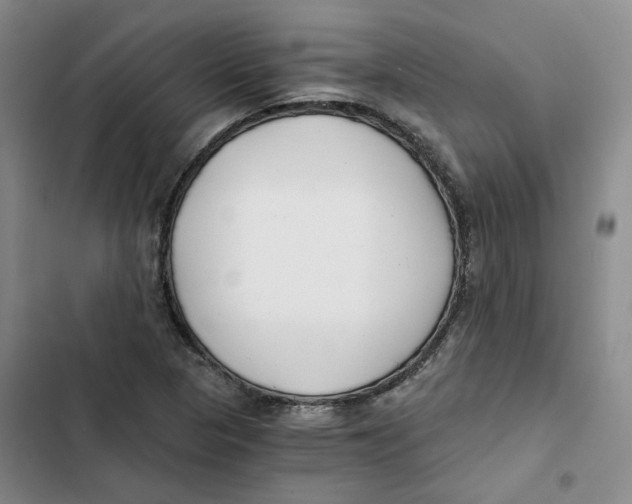X0000102821313200809151006