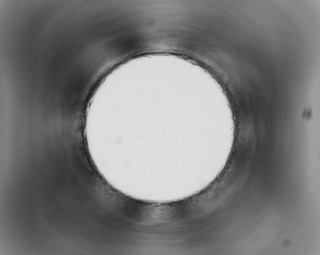 X0000102821314200809151006