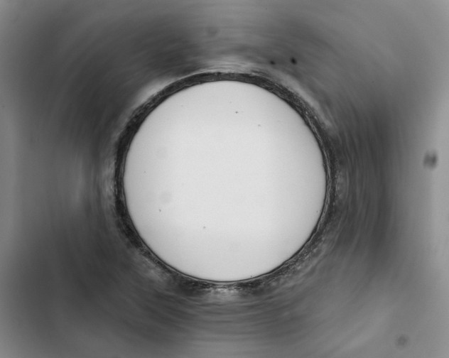 X0000102821315200809151006