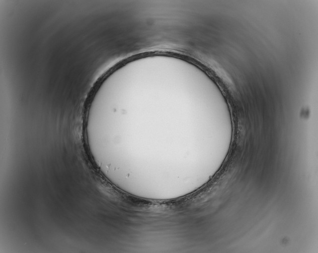 X0000102821316200809151006
