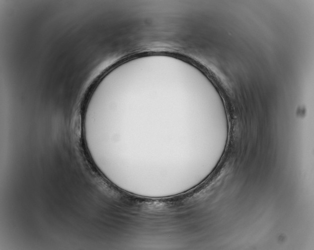 X0000102821317200809151006