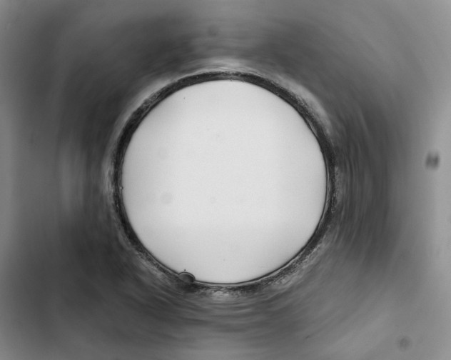 X0000102821318200809151006