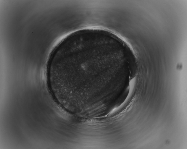 X0000102821319200809151006