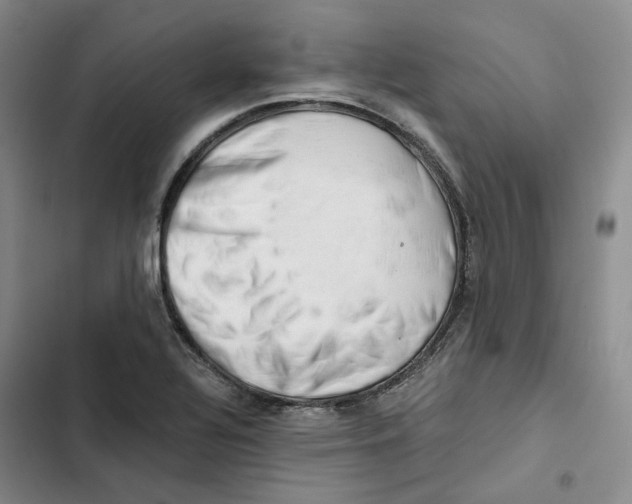 X0000102821320200809151006