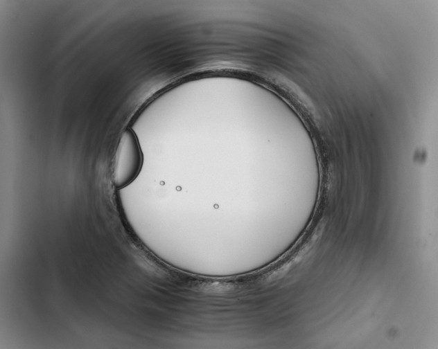 X0000102821321200809151006