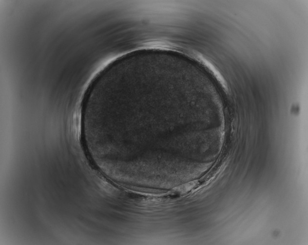 X0000102821323200809151006