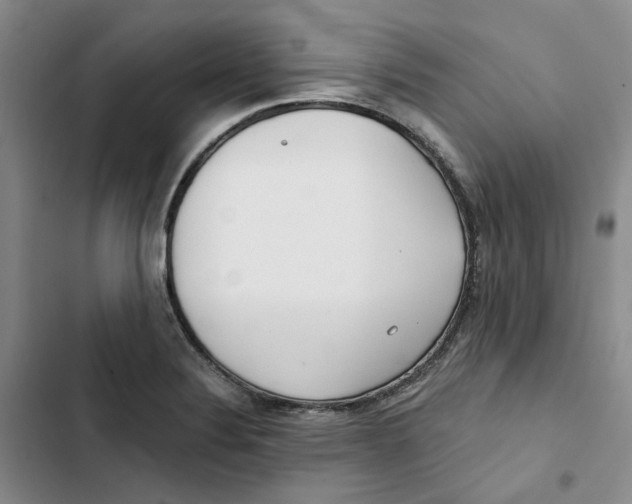 X0000102821324200809151006