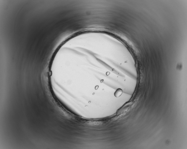 X0000102821325200809151006