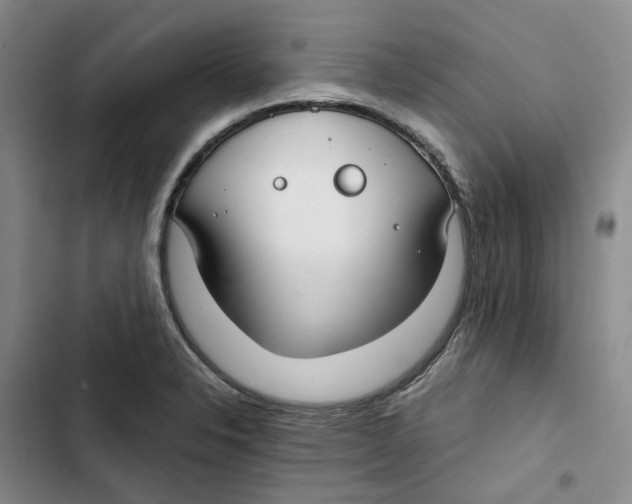 X0000102821326200809151006